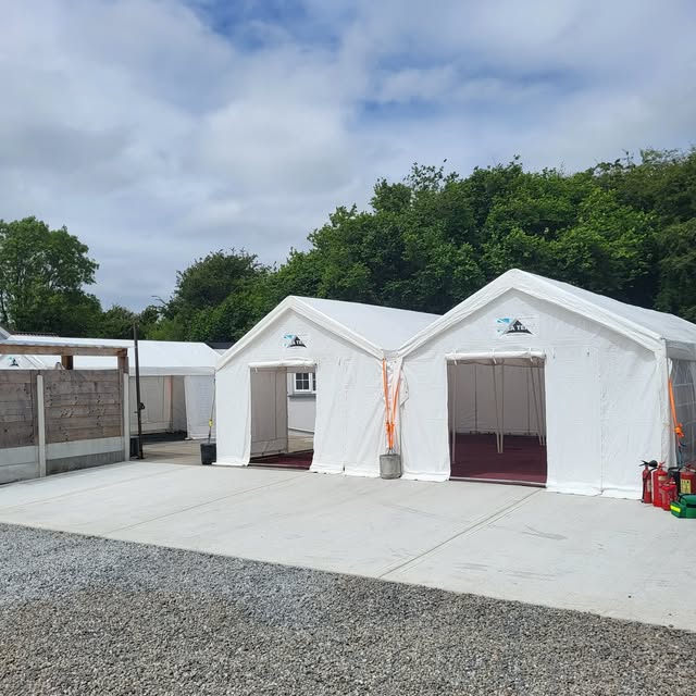 Several connected white marquees with open entrances on a paved outdoor area.